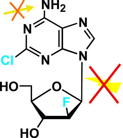 Stage 19, Figure 5A