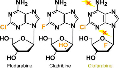 Stage 19, Figure 5B