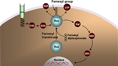 Stage 19, Figure 6